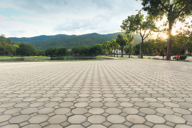 Best Residential Paver Driveway  in Sugarmill Woods, FL